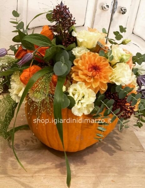 Zucca fiorita