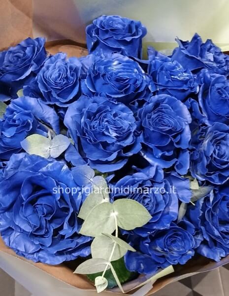 Rose blu