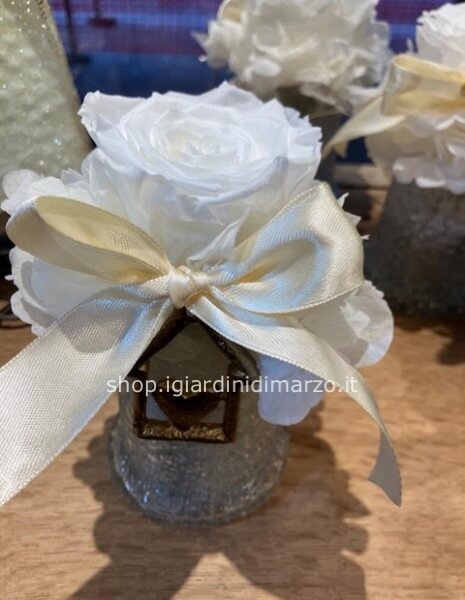 rosa stabilizzata bianca in vaso e cuoricino