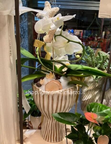 orchidea con vaso ed elementi natalizi