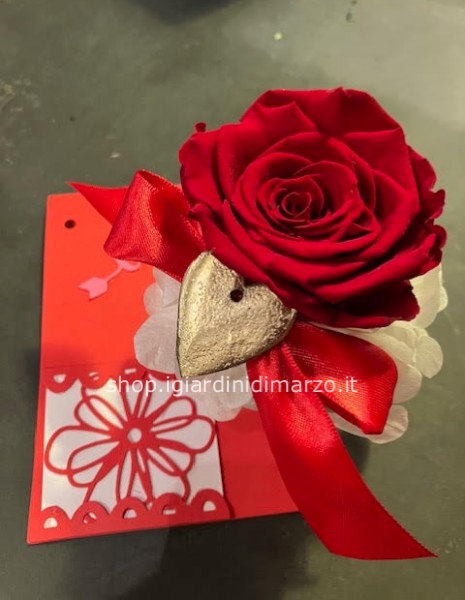 rosa stabilizzata rossa con bigliettino