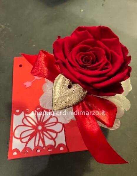 rosa stabilizzata rossa con biglietto fatto a mano