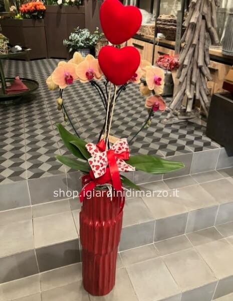 Orchidea a cuore in vaso rosso 