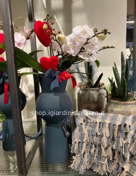 orchidea in vaso blu