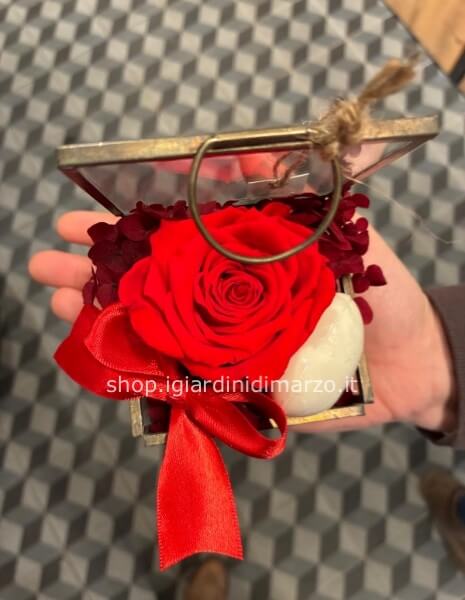 rosa stabilizzata in scrigno vetro
