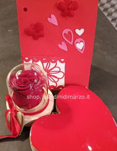 Cloche con rosa stabilizzata 