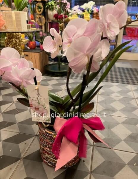 Orchidea in vaso glitter