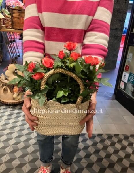 Rose in cesto